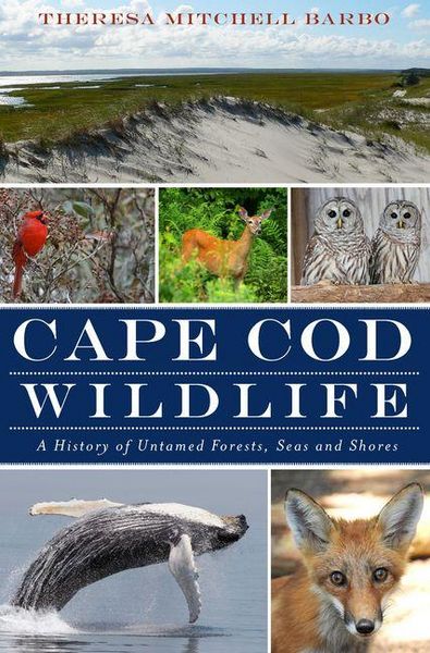 Produktbild: Cape Cod Wildlife