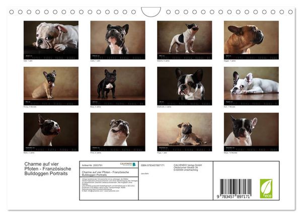 Produktbild: Charme auf vier Pfoten - Franz&ouml;sische Bulldoggen Portraits (Wandkalender 2026 DIN A4 quer), CALVENDO Monatskalender