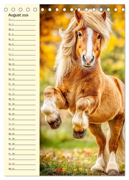 Produktbild: Zauber der Ponys. Kleine Pferde in der Natur (Tischkalender 2026 DIN A5 hoch), CALVENDO Monatskalender