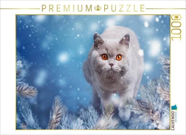 Produktbild: CALVENDO Puzzle Ein Motiv aus dem Kalender Kittens - Britisch Kurzhaar Katzenkinder | 1000 Teile Lege-Gr&ouml;&szlig;e 64x48cm Foto-Puzzle f&uuml;r gl&uuml;ckliche Stunden