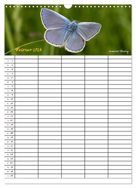 Produktbild: Schmetterlinge in Bayern (Wandkalender 2026 DIN A3 hoch), CALVENDO Monatskalender