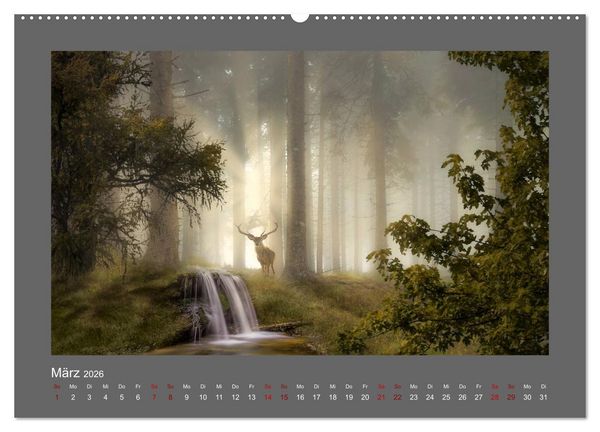 Produktbild: Waldgeheimnisse (hochwertiger Premium Wandkalender 2026 DIN A2 quer), Kunstdruck in Hochglanz