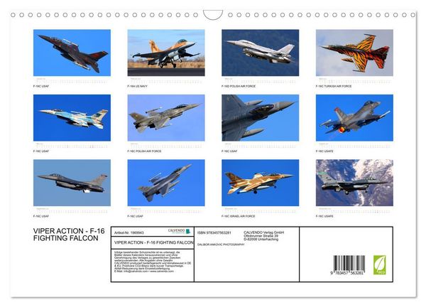 Produktbild: VIPER ACTION - F-16 FIGHTING FALCON (Wandkalender 2026 DIN A3 quer), CALVENDO Monatskalender