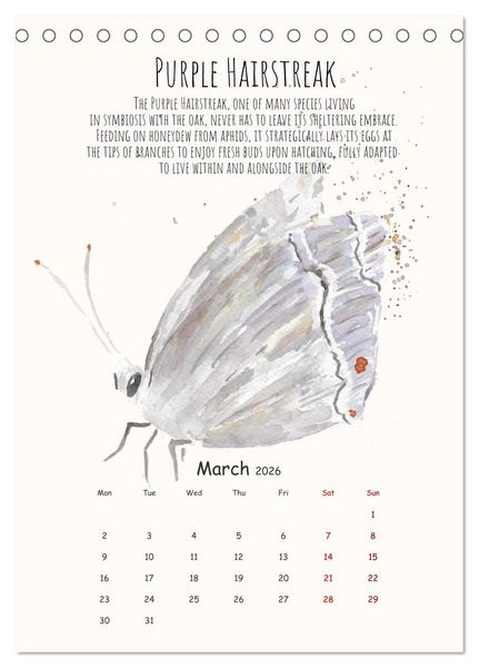 Produktbild: Symbiosis, the story of collaborations in nature (Desk Calendar 2026 DIN A5 portrait), CALVENDO 12 Month DeskCalendar