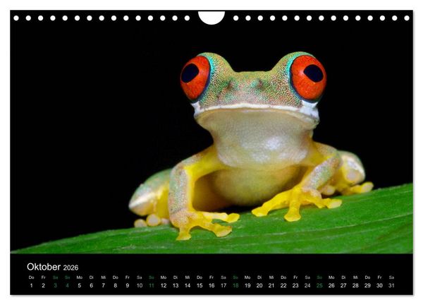 Produktbild: Costa Rica - Faszination Fr&ouml;sche (Wandkalender 2026 DIN A4 quer), CALVENDO Monatskalender