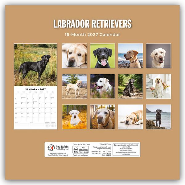 Produktbild: Labrador Retrievers &ndash; Labrador Retriever 2027 &ndash; 16-Monatskalender