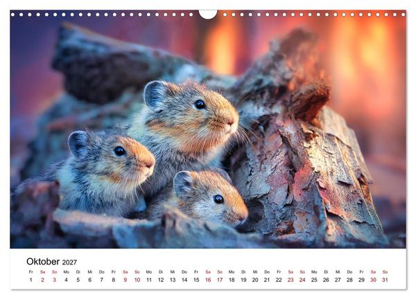 Produktbild: Lemminge - Kleine Helden der Tundra (Wandkalender 2027 DIN A3 quer), CALVENDO Monatskalender