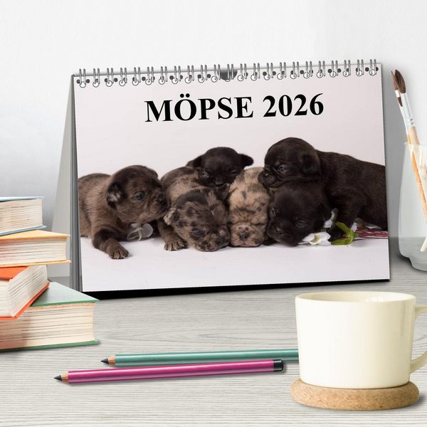 Produktbild: M&ouml;pse 2026 (Tischkalender 2026 DIN A5 quer), CALVENDO Monatskalender