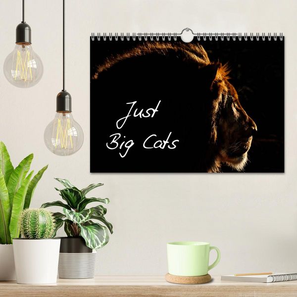 Produktbild: Just Big Cats (Wall Calendar 2026 DIN A4 landscape), CALVENDO 12 Month Wall Calendar