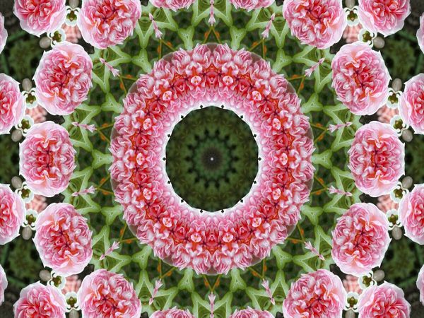 Produktbild: CALVENDO Puzzle Blumen Mandala - Kaleidoskop | 1000 Teile Lege-Gr&ouml;&szlig;e 64x48cm Foto-Puzzle f&uuml;r gl&uuml;ckliche Stunden