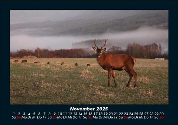 Produktbild: Naturlandschaften 2025 Fotokalender DIN A5