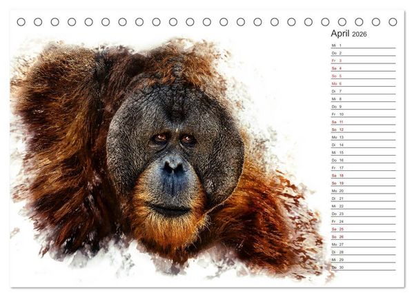 Produktbild: Tierportraits - Fine Art (Tischkalender 2026 DIN A5 quer), CALVENDO Monatskalender
