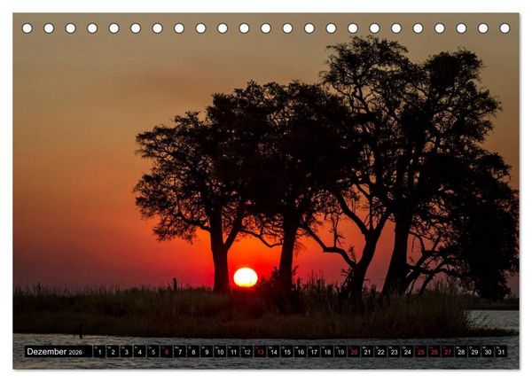 Produktbild: Afrikas B&auml;ume (Tischkalender 2026 DIN A5 quer), CALVENDO Monatskalender