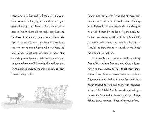 Produktbild: Morpurgo, M: Cobweb