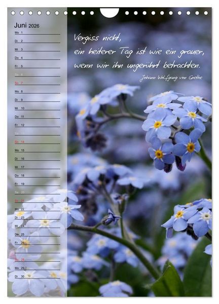 Produktbild: Blumen & Zitate / Geburtstagskalender (Wandkalender 2026 DIN A4 hoch), CALVENDO Monatskalender