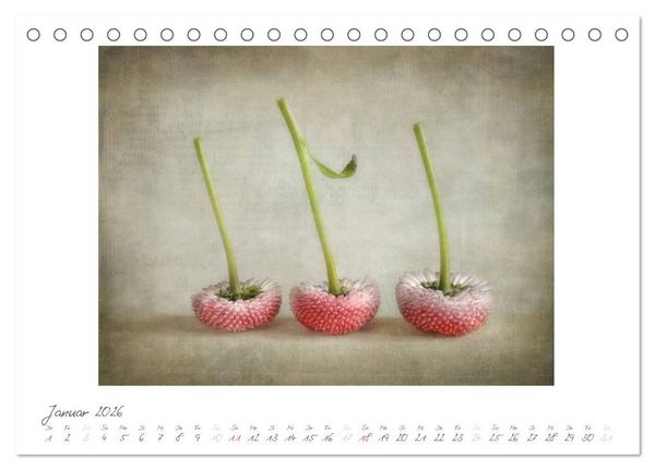 Produktbild: Vintage Flowers (Tischkalender 2026 DIN A5 quer), CALVENDO Monatskalender