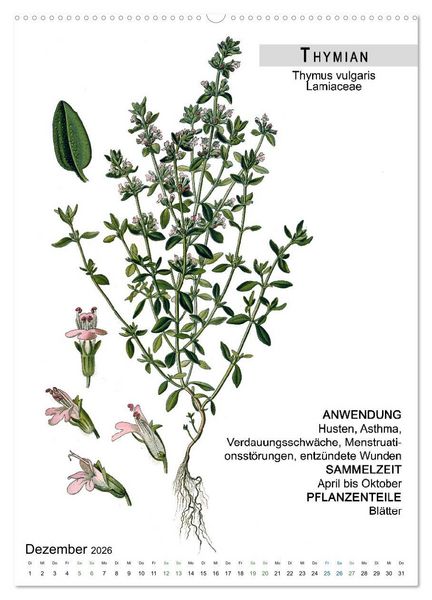 Produktbild: Heilpflanzen (hochwertiger Premium Wandkalender 2026 DIN A2 hoch), Kunstdruck in Hochglanz