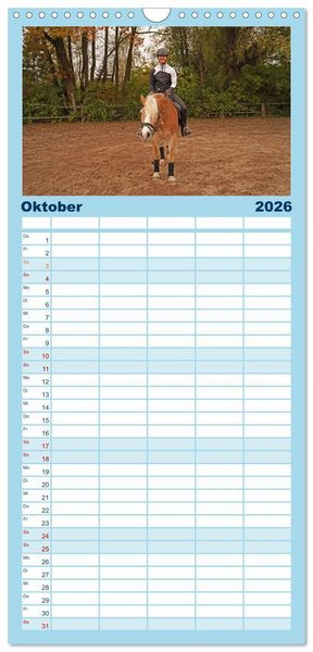 Produktbild: Familienplaner 2026 - Faszination Haflinger mit 5 Spalten (Wandkalender, 21 x 45 cm) CALVENDO
