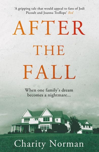 Produktbild: After the Fall