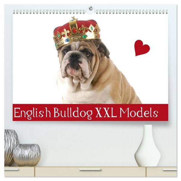 Produktbild: English Bulldog XXL Models (hochwertiger Premium Wandkalender 2026 DIN A2 quer), Kunstdruck in Hochglanz