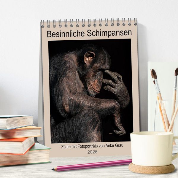 Produktbild: Besinnliche Schimpansen (Tischkalender 2026 DIN A5 hoch), CALVENDO Monatskalender