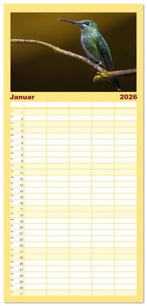 Produktbild: Familienplaner 2026 - Tropische V&ouml;gel Costa Ricas mit 5 Spalten (Wandkalender, 21 x 45 cm) CALVENDO