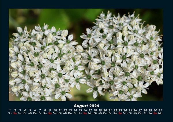 Produktbild: Blumenzauber 2026 Fotokalender DIN A4