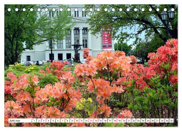 Produktbild: Glanzlichter Rigas - Lettlands prachtvolle Hauptstadt (Tischkalender 2026 DIN A5 quer), CALVENDO Monatskalender