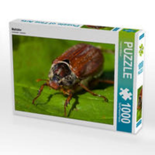 CALVENDO Puzzle Maikäfer | 1000 Teile Lege-Größe 64x48cm Foto-Puzzle für glückliche Stunden
