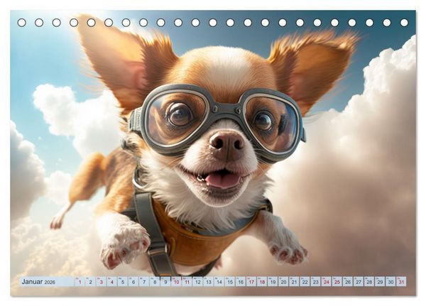 Produktbild: Hunde Skydiving (Tischkalender 2026 DIN A5 quer), CALVENDO Monatskalender