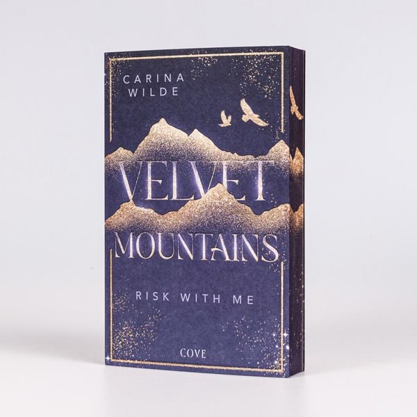 Produktbild: Risk With Me (Velvet Mountains 1)