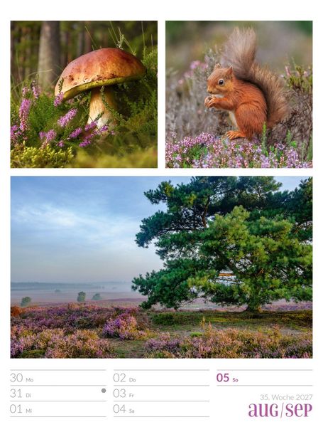 Produktbild: Farben der Natur Wochenplaner Kalender 2027