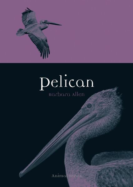 Produktbild: Pelican