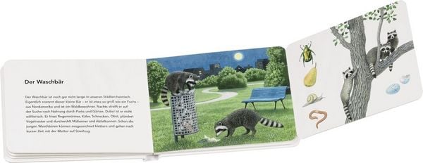 Produktbild: Tiere in der Stadt