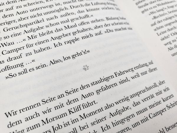 Produktbild: Pfotengl&uuml;ck &ndash; Dackel Max sucht seine gro&szlig;e Liebe