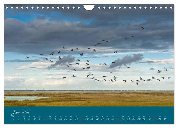 Produktbild: Blick auf die Halbinsel Fischland, Dar&szlig; und Zingst (Wandkalender 2026 DIN A4 quer), CALVENDO Monatskalender