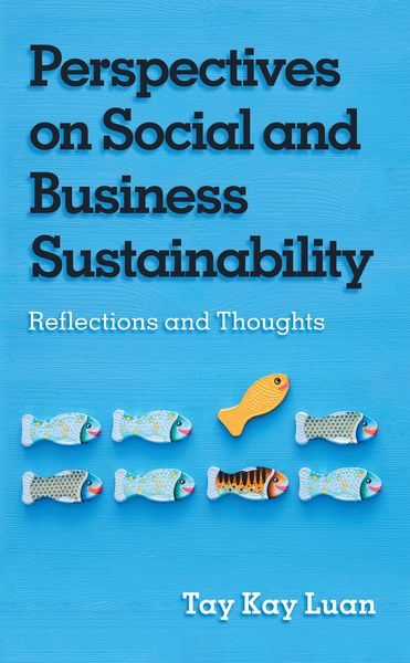 Produktbild: Perspectives on Social and Business Sustainability