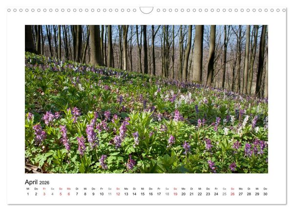 Produktbild: Impressionen aus Ostwestfalen-Lippe (Wandkalender 2026 DIN A3 quer), CALVENDO Monatskalender