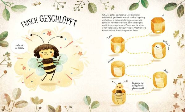 Produktbild: Wie Bienen leben. Matilda erz&auml;hlt.