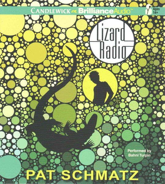 Produktbild: LIZARD RADIO 7D