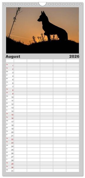 Produktbild: Familienplaner 2026 - Belgische Sch&auml;ferhunde - Der Malinois im Licht mit 5 Spalten (Wandkalender, 21 x 45 cm) CALVENDO