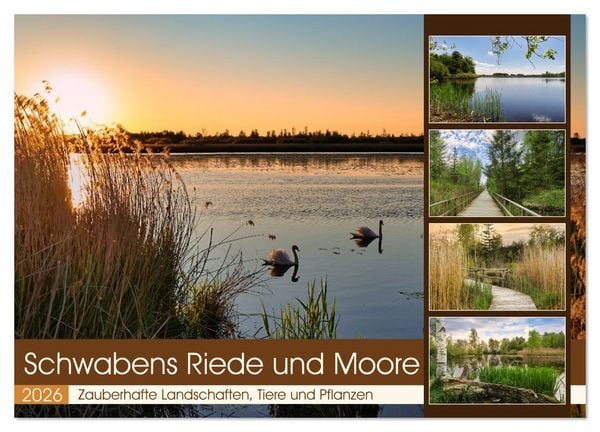 Produktbild: Schwabens Riede und Moore (Wandkalender 2026 DIN A2 quer), CALVENDO Monatskalender