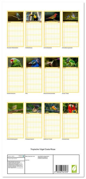 Produktbild: Familienplaner 2026 - Tropische V&ouml;gel Costa Ricas mit 5 Spalten (Wandkalender, 21 x 45 cm) CALVENDO