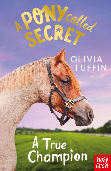 Produktbild: A Pony Called Secret: A True Champion