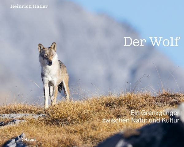 Produktbild: Der Wolf