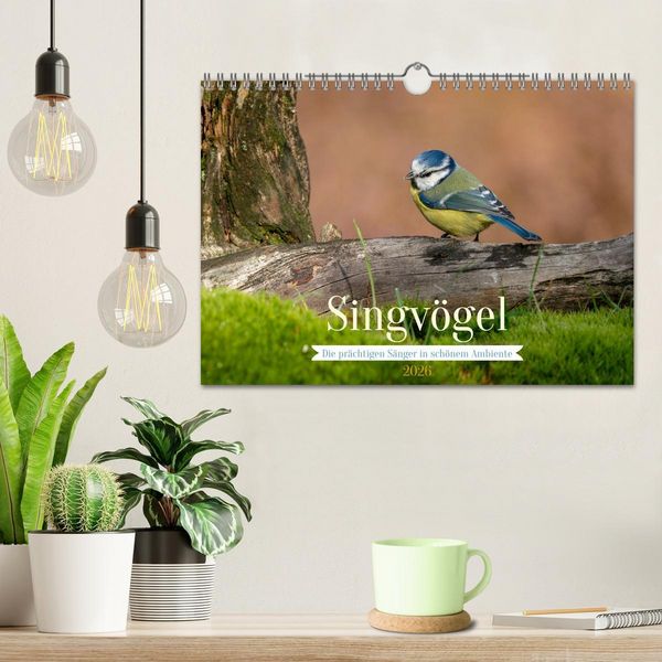 Produktbild: SINGV&Ouml;GEL - Die pr&auml;chtigen S&auml;nger in sch&ouml;nem Ambiente (Wandkalender 2026 DIN A4 quer), CALVENDO Monatskalender