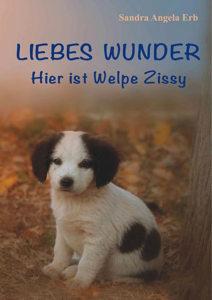 Produktbild: Liebes Wunder