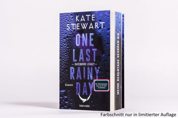 Produktbild: One Last Rainy Day