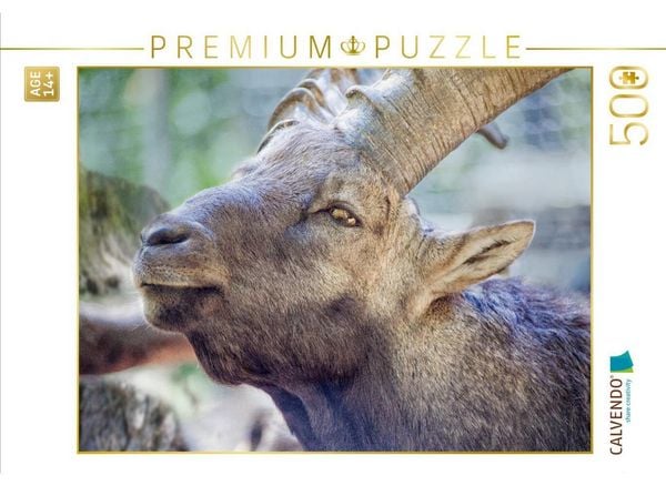 CALVENDO Puzzle Majestätisches Exemplar | 500 Teile Lege-Größe 48 × 36 cm Foto-Puzzle für Erwachsene