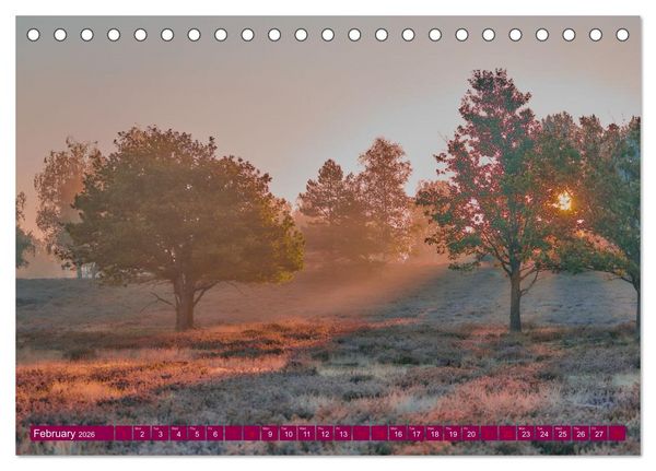 Produktbild: Just lovely - the power of pink heather blossom beauty (Desk Calendar 2026 DIN A5 landscape), CALVENDO 12 Month DeskCalendar